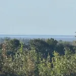 Skadshof Wo Leistung Auf Leidenschaft Trifft * Esbjerg
