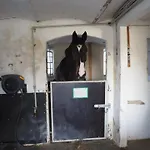 Skadshof Wo Leistung Auf Leidenschaft Trifft * Esbjerg