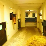 Skadshof Wo Leistung Auf Leidenschaft Trifft *