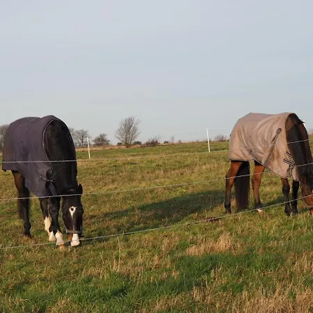 Skadshof Wo Leistung Auf Leidenschaft Trifft Bed & Breakfast *